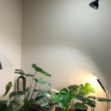 室内観葉植物（斑入りモンステラなど）におすすめの植物用ライト