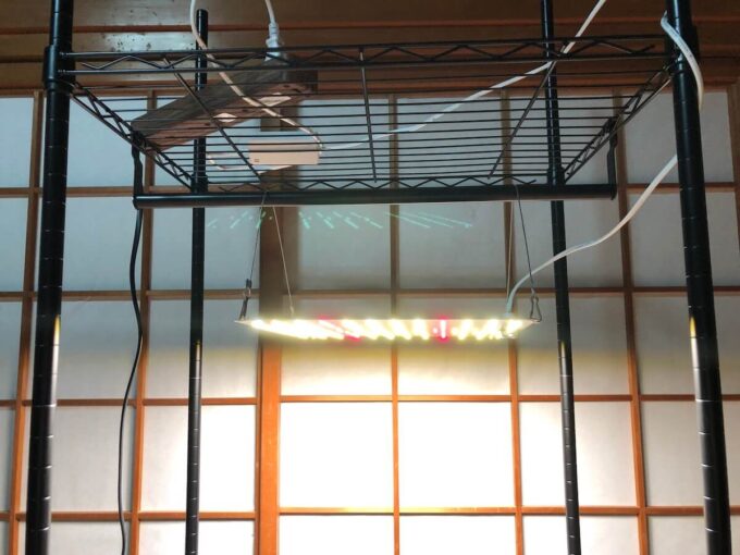 棚とライトの組み合わせ写真１