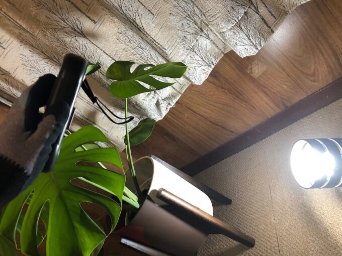 アイリスオーヤマの高演色ライトを床置きスポット利用した写真