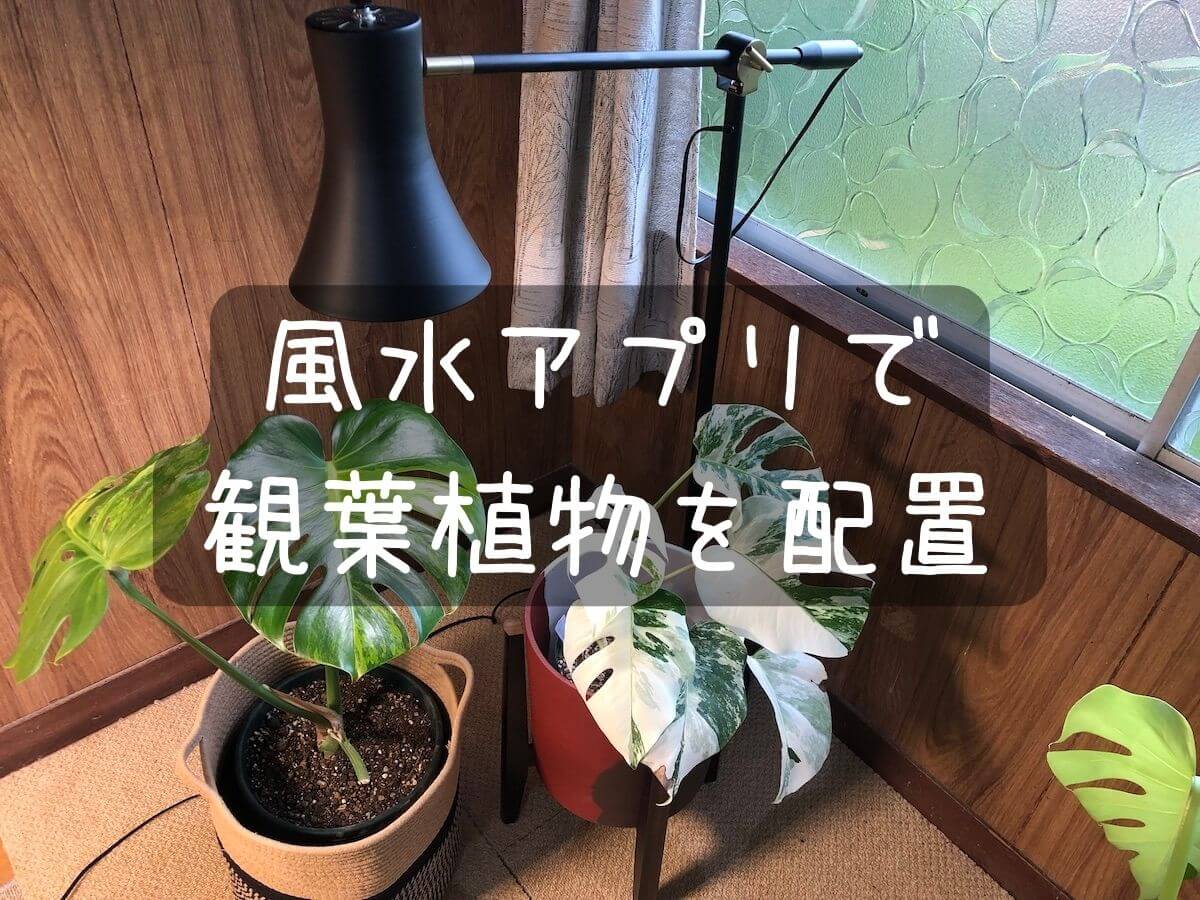 風水アプリで観葉植物配置の画像